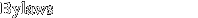 Bylaws